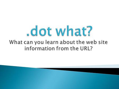 What can you learn about the web site information from the URL?