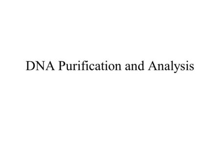 DNA Purification and Analysis. The Southern Blot Technique: -technique for DNA analysis developed in the 1970s by E. M. Southern -Southern Blot.