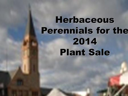Herbaceous Perennials for the 2014 Plant Sale