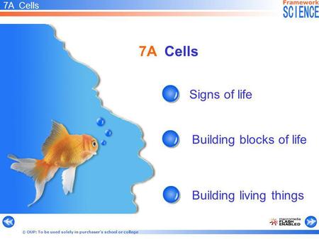 7A Cells Signs of life Building blocks of life Building living things