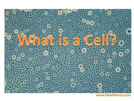 What is a Cell? www.MeetPenny.com.