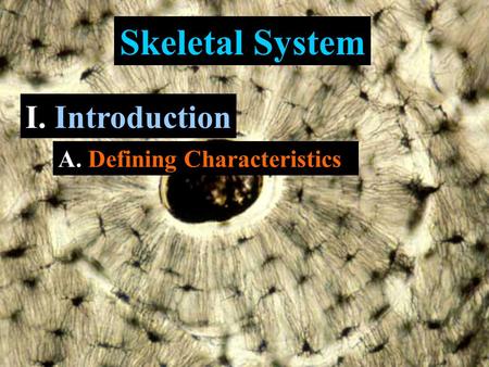 Skeletal System I. Introduction A. Defining Characteristics.