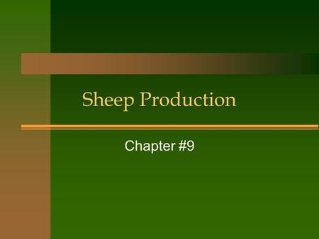 Sheep Production Chapter #9. Why choose sheep? n Sheep can survive where cows cant n Sheep will eat problem weeds like Leafy Spurge n Profit per acre.