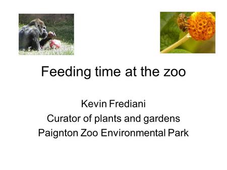 Feeding time at the zoo Kevin Frediani Curator of plants and gardens Paignton Zoo Environmental Park.
