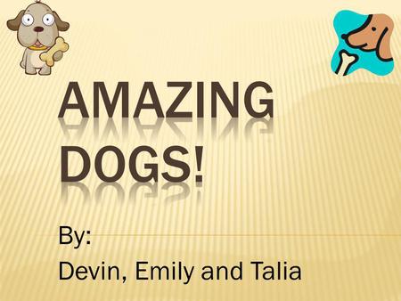 By: Devin, Emily and Talia. Have you heard of these three dogs? They are Labrador Retrievers, Beagles and Cavalier King Charles Spaniels. Read more to.