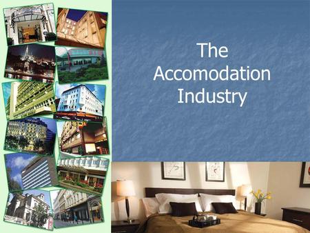 The Accomodation Industry