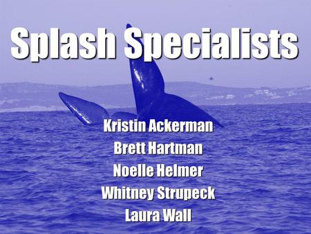 Splash Specialists Kristin Ackerman Brett Hartman Noelle Helmer Whitney Strupeck Laura Wall.