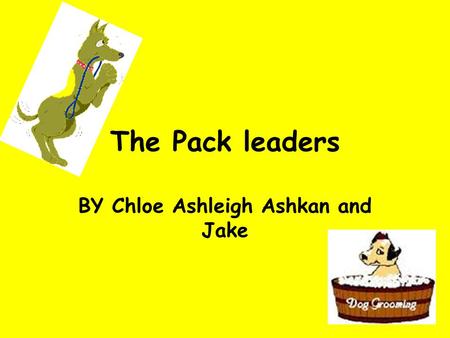 The Pack leaders BY Chloe Ashleigh Ashkan and Jake.