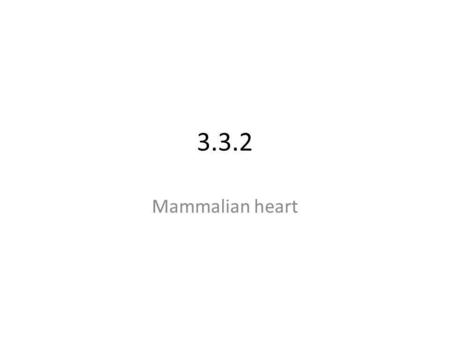 3.3.2 Mammalian heart.