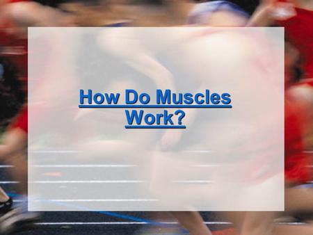 How Do Muscles Work?.