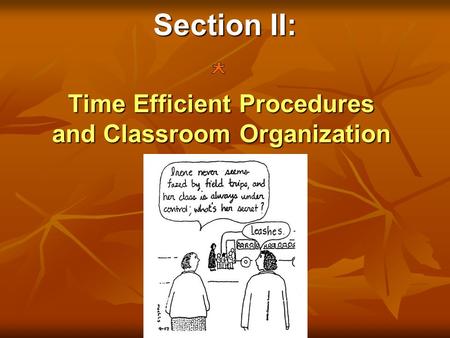 Time Efficient Procedures and Classroom Organization