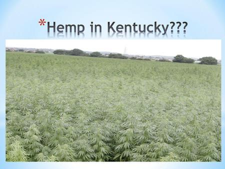 * Hemp has been grown for over 12,000 years * Hemp was a major crop in Kentucky early 1900s and again during World War II. * The United States is the.