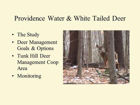 Providence Water & White Tailed Deer The Study Deer Management Goals & Options Tunk Hill Deer Management Coop Area Monitoring.