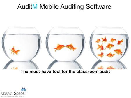 AuditM Mobile Auditing Software The must-have tool for the classroom audit.