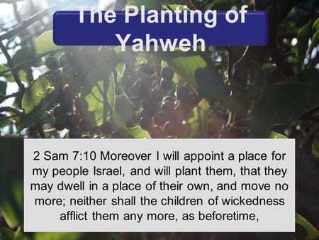2 Sam 7:10 Moreover I will appoint a place for my people Israel, and will plant them, that they may dwell in a place of their own, and move no more; neither.