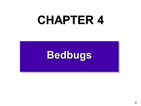 1 CHAPTER 4 BedbugsBedbugs. 2 3 Preview Questions Pests are animals that cause problems for people – for example, rats. What are some other examples.