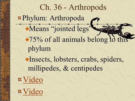 Ch Arthropods Video Phylum: Arthropoda Means “jointed legs”