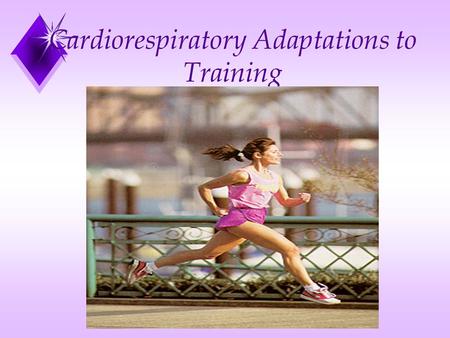 Cardiorespiratory Adaptations to Training