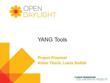 Project Proposal Anton Tkacik, Lukas Sedlak