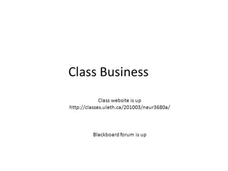 Class Business Class website is up  Blackboard forum is up.