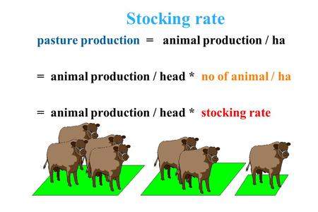 STOCKING RATE. - ppt download