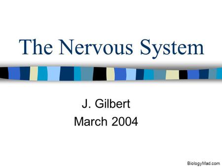 The Nervous System J. Gilbert March 2004 BiologyMad.com.