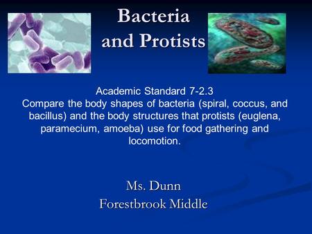 Bacteria and Protists Ms. Dunn Forestbrook Middle Academic Standard 7-2.3 Compare the body shapes of bacteria (spiral, coccus, and bacillus) and the body.