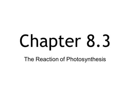 The Reaction of Photosynthesis