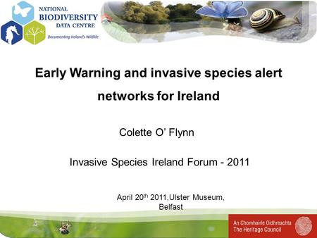Early Warning and invasive species alert networks for Ireland April 20 th 2011,Ulster Museum, Belfast Invasive Species Ireland Forum - 2011 Colette O Flynn.