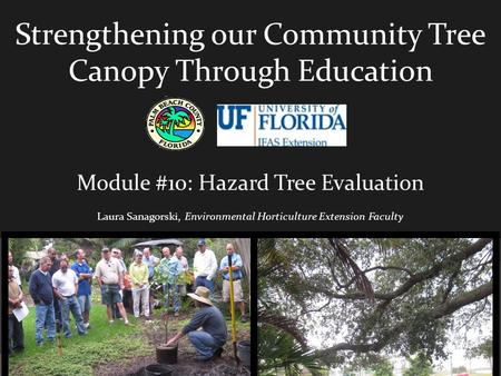 Strengthening our Community Tree Canopy Through Education Module #10: Hazard Tree Evaluation Laura Sanagorski, Environmental Horticulture Extension Faculty.