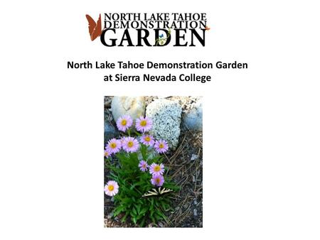 North Lake Tahoe Demonstration Garden at Sierra Nevada College.