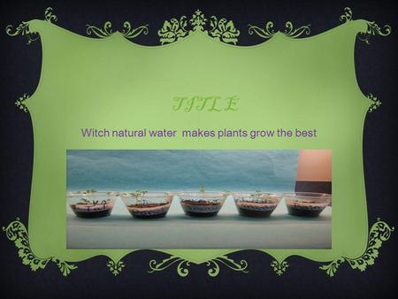 TITLE Witch natural water makes plants grow the best.