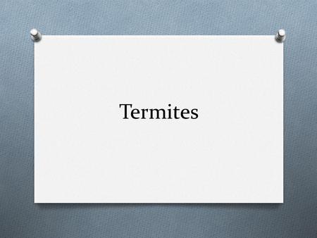 Termites. O 45 species of termites in US O Only 2 species are native.