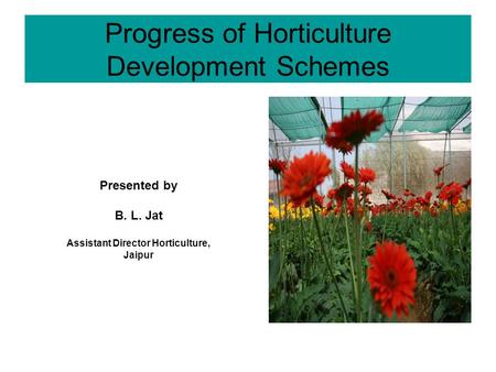 Progress of Horticulture Development Schemes Presented by B. L. Jat Assistant Director Horticulture, Jaipur.