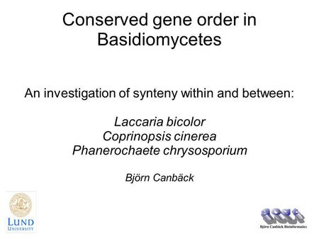 Conserved gene order in Basidiomycetes An investigation of synteny within and between: Laccaria bicolor Coprinopsis cinerea Phanerochaete chrysosporium.