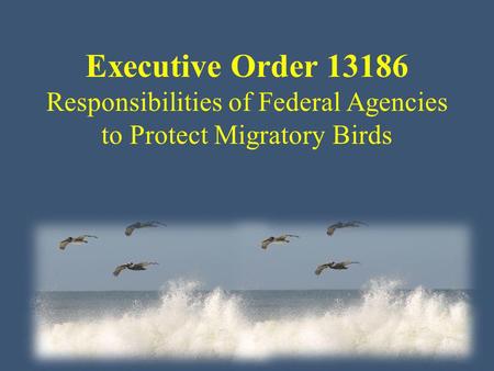 Executive Order 13186 Responsibilities of Federal Agencies to Protect Migratory Birds.