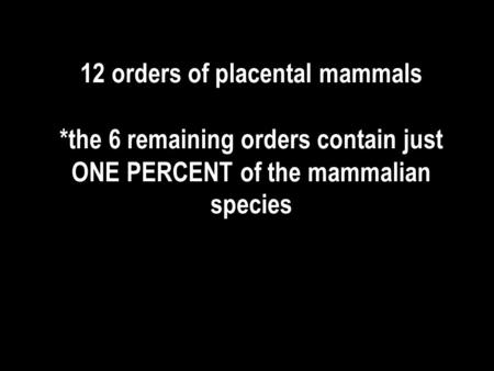 12 orders of placental mammals