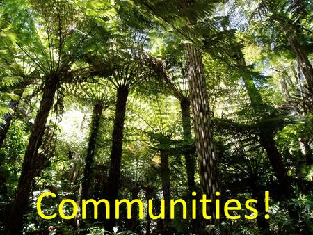 Communities!.
