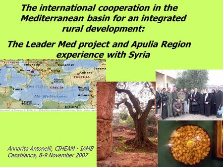 The international cooperation in the Mediterranean basin for an integrated rural development: The Leader Med project and Apulia Region experience with.