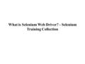 What is Selenium Web Driver? - Selenium Training Collection.
