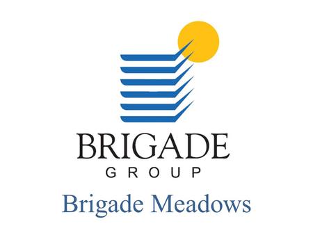Brigade Meadows