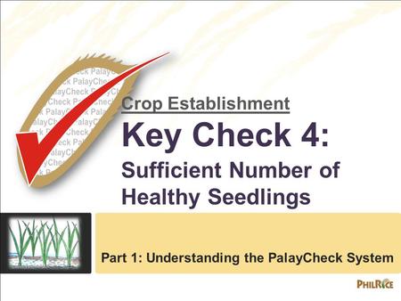 Crop Establishment Key Check 4: Sufficient Number of Healthy Seedlings Part 1: Understanding the PalayCheck System.