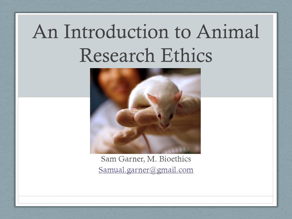 An Introduction to Animal Research Ethics - ppt download An Introduction to Animal Research Ethics - ppt download