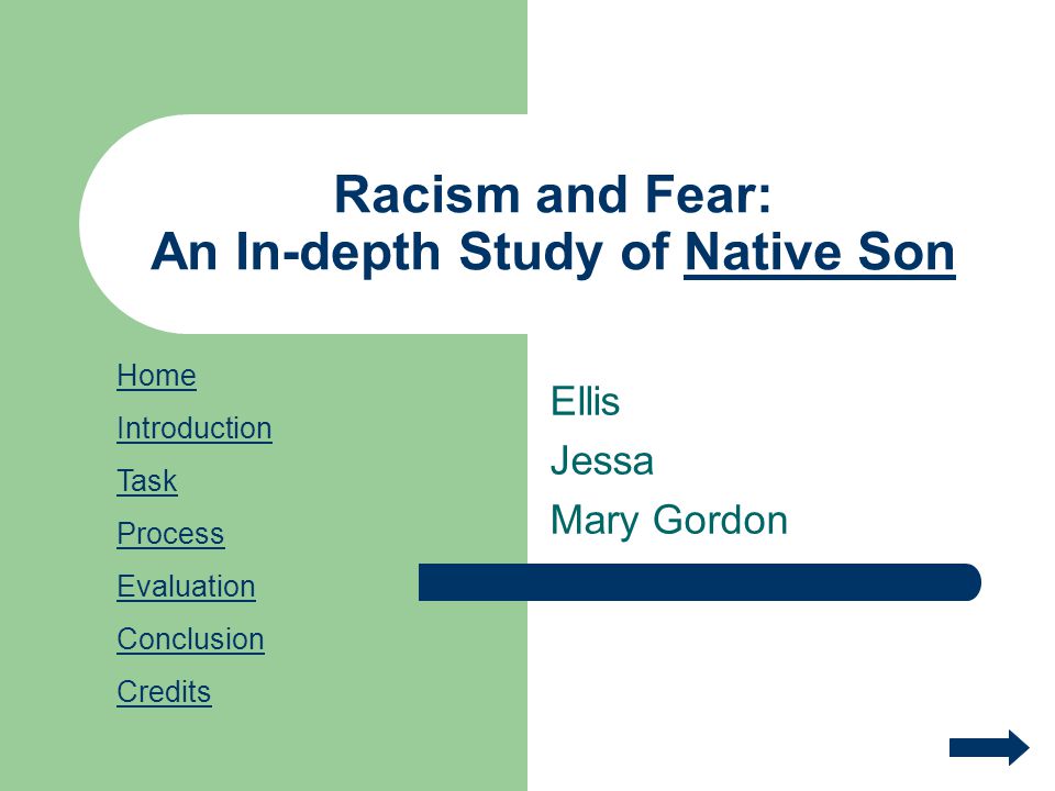 Реферат: Native Son Essay Research Paper Native Son