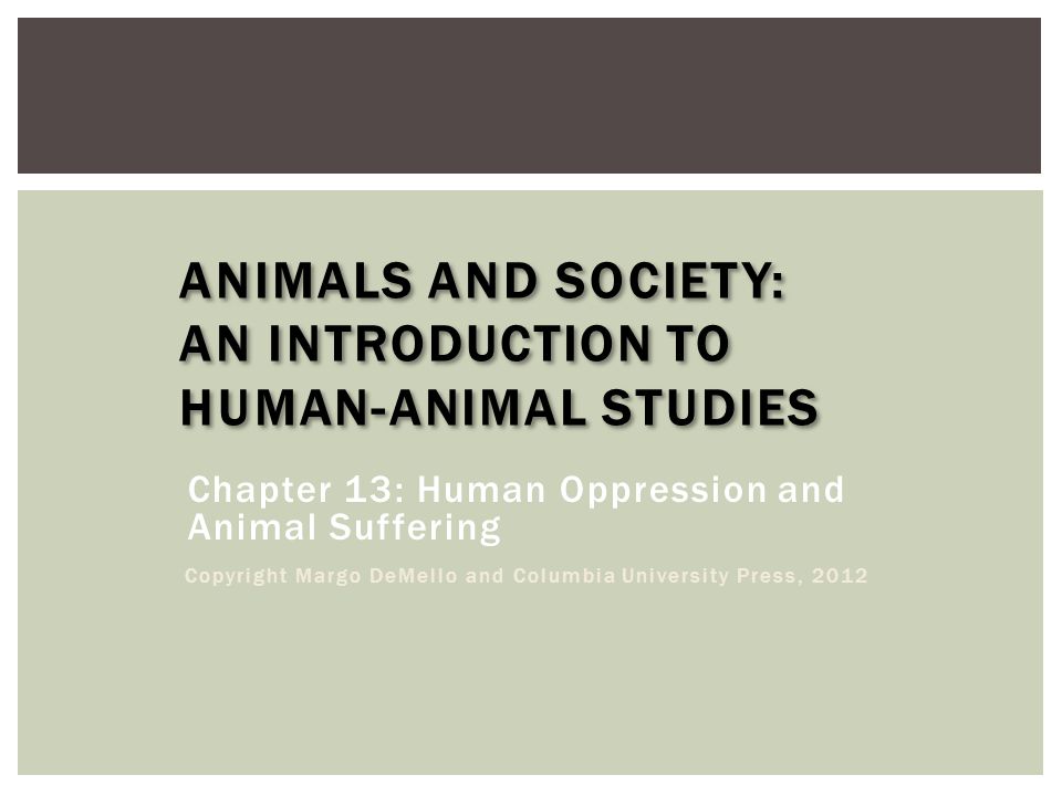 Animal Sexism Humans - Animals and Society: An Introduction to Human-Animal Studies - ppt video  online download