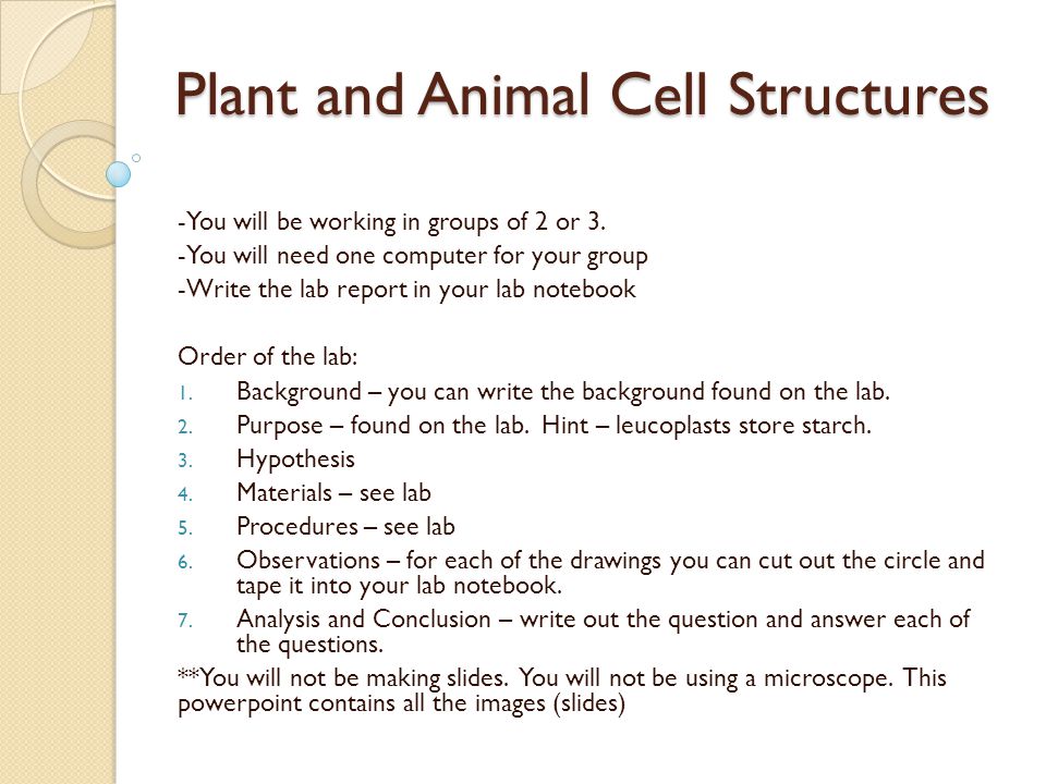 Plant and Animal Cell Structures - ppt video online download