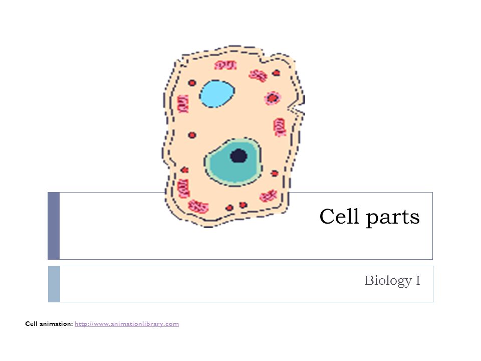 Cell parts Biology I Cell animation: - ppt download