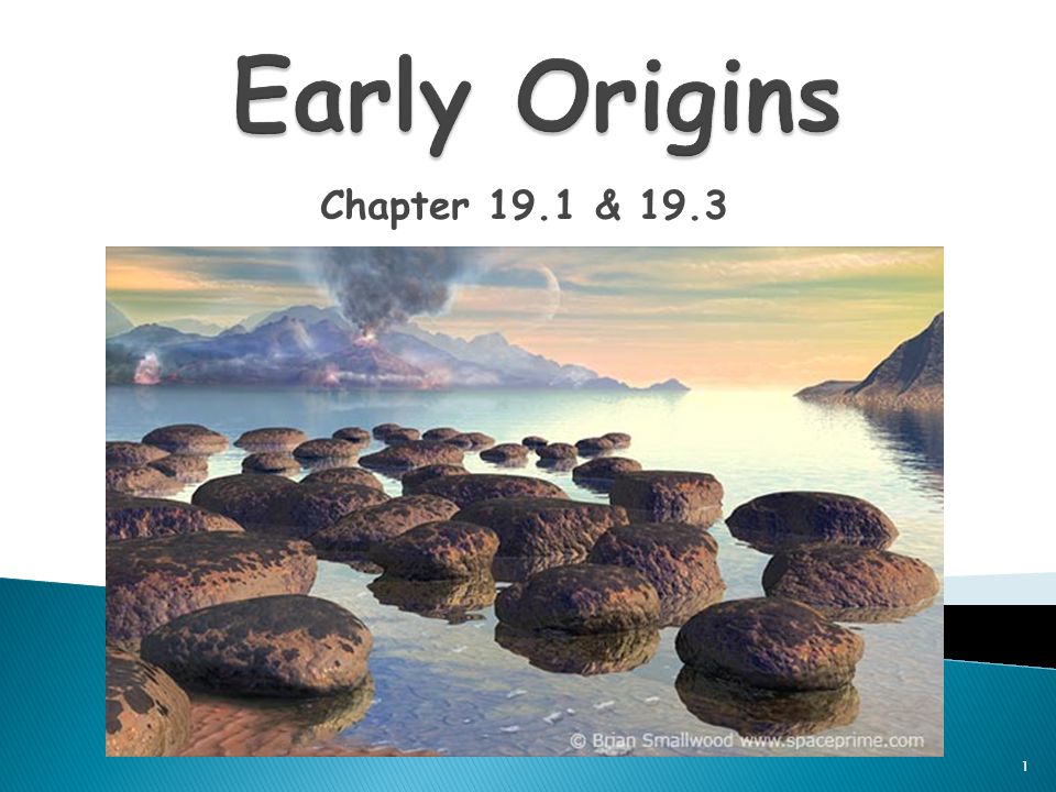 Early Origins Chapter 19.1 & 19.3.