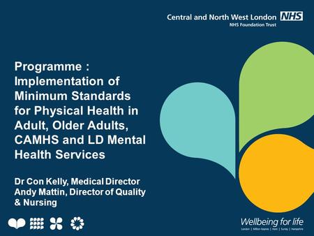 Programme : Implementation of Minimum Standards for Physical Health in Adult, Older Adults, CAMHS and LD Mental Health Services Dr Con Kelly, Medical Director.