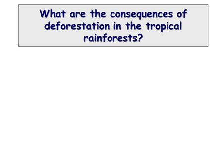What are the consequences of deforestation in the tropical rainforests?